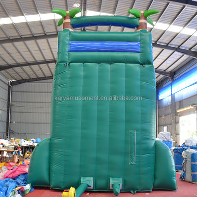 29ft Tropical Jump Water Slide πισίνα Εμπορική πίσω αυλή Μεγάλο παλμό υδάτινο διαδρόμιο με πισίνα
