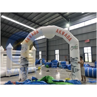 Εξωτερική παιδική χαρά Πνευματώδης Sky Air Dancer με Fly Guy Costume και Blower