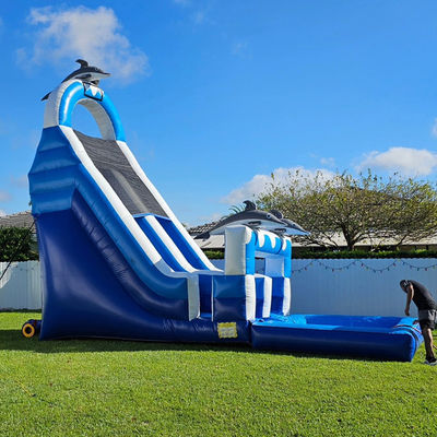 0.55mm PVC Tarpaulin Μεγάλη δελφίνι Θέμα φουσκωτό υδάτινο διαδρόμιο με αποσυναρμολογητή πισίνα