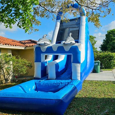 0.55mm PVC Tarpaulin Μεγάλη δελφίνι Θέμα φουσκωτό υδάτινο διαδρόμιο με αποσυναρμολογητή πισίνα