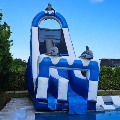 0.55mm PVC Tarpaulin Μεγάλη δελφίνι Θέμα φουσκωτό υδάτινο διαδρόμιο με αποσυναρμολογητή πισίνα