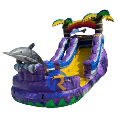 Πίσω αυλή Διασκέδαση Μέγιστη χωρητικότητα >500kg Πίθανος καρχαρίας φοινικός φουσκωτός υδρατρείος με πισίνα