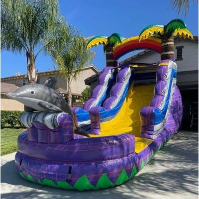 Πίσω αυλή Διασκέδαση Μέγιστη χωρητικότητα >500kg Πίθανος καρχαρίας φοινικός φουσκωτός υδρατρείος με πισίνα