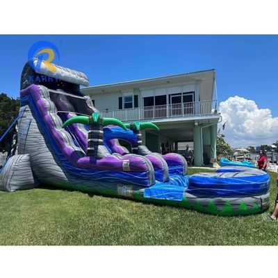 Πίσω αυλή Διασκέδαση Μέγιστη χωρητικότητα >500kg Πίθανος καρχαρίας φοινικός φουσκωτός υδρατρείος με πισίνα