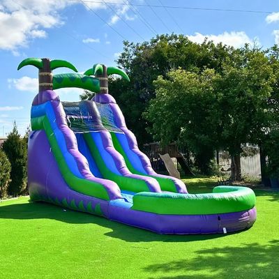Εταιρική αεροαναπνευστήρα τύπου CE Commercial Inflatable Shark Water Slide