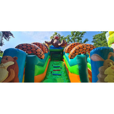 Προσαρμοσμένο χρώμα Safari Park φουσκωτό τερματοφύλακα για τη διασκέδαση των παιδιών στο υπαίθριο πάρκο