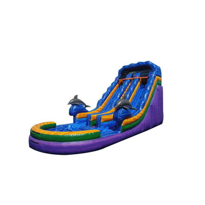 Ταχυδρομική αποστολή Unisex Bounce Slider Πυροβόλο υδρόδρομο με πισίνα Παιχνίδια