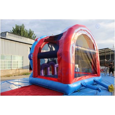 14 Χρόνια πάνω PVC φουσκωτός bouncer Ferris Wheel Κάστρο για το πάρτι παιδική χαρά