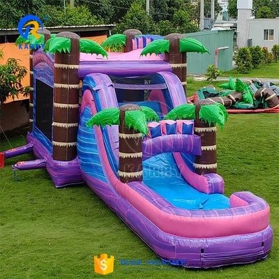 Προσαρμοσμένο χρώμα Palm Tree Bouncy Castle με Slide Pool Πνευματώδες Bounce House