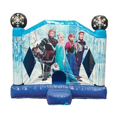 Unisex παγωμένο φουσκωτό κάστρο Bouncer House με προαιρετικά χρώματα
