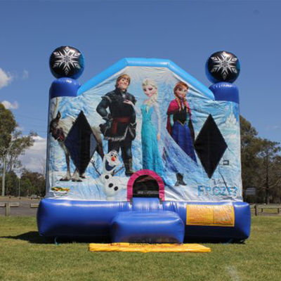 Unisex παγωμένο φουσκωτό κάστρο Bouncer House με προαιρετικά χρώματα