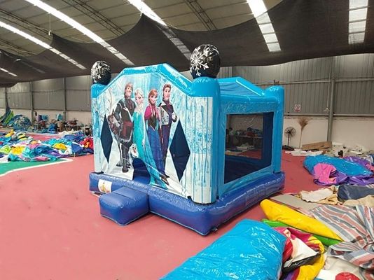 Unisex παγωμένο φουσκωτό κάστρο Bouncer House με προαιρετικά χρώματα