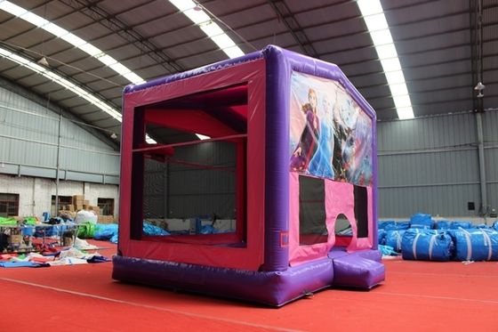 Unisex παγωμένο φουσκωτό κάστρο Bouncer House με προαιρετικά χρώματα