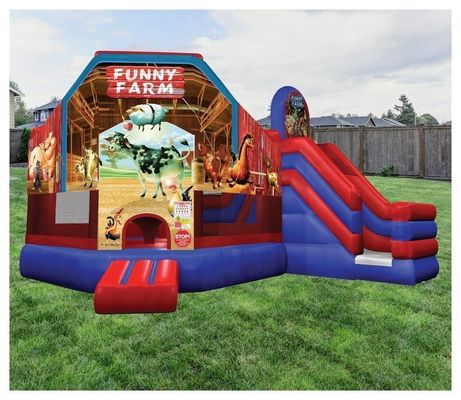 Χαρακτηριστικά PORTABLE Giant Carousel Bouncy Castle Combo Slide με προσαρμοσμένο χρώμα