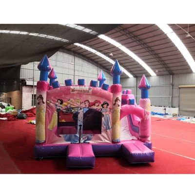 5*5*4.2m Πνευματώδης Αεροπετάχτης Κάστρο Combo Slide για Pink Princess