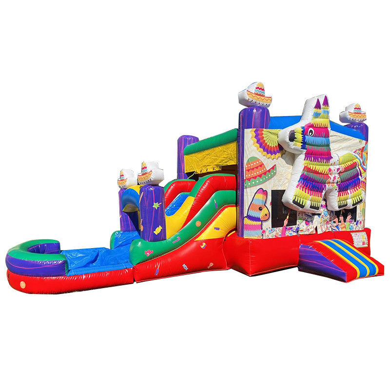 ΠΟΡΤΑΒΙΛΕΤΙΚΟ PVC Rainbow Puppy φουσκωτό αναπηρικό σπίτι με διαφάνειες